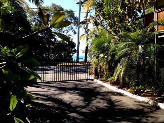 Coconut Palms On The Bay Aparthotel Hervey Bay Luaran gambar